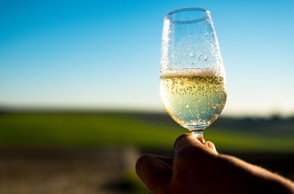 Guide to Sparkling Wines: Champagne, Prosecco, Cava, and More