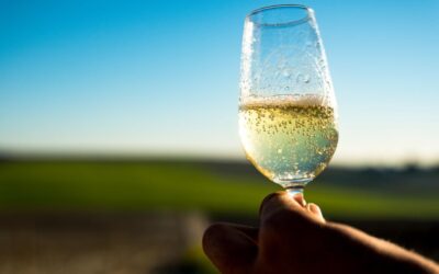 Guide to Sparkling Wines: Champagne, Prosecco, Cava, and More
