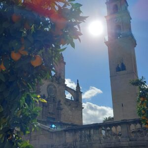 Tapas & Culture Jerez