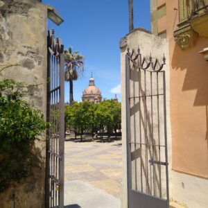 Visual of the top of Jerez´s cathedral from the alcazar