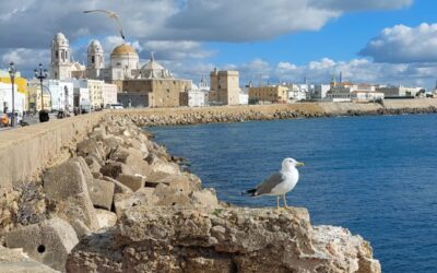Discover Cádiz: 10 Highlights You Can’t Miss