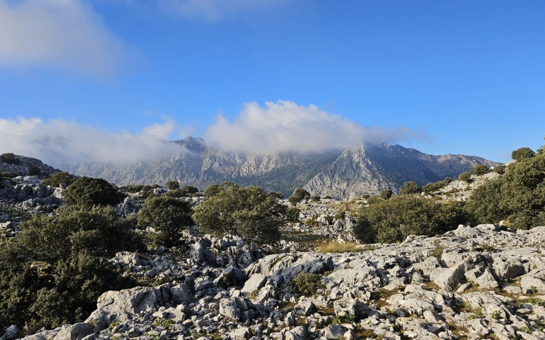 A Scenic Adventure in Grazalema National Park