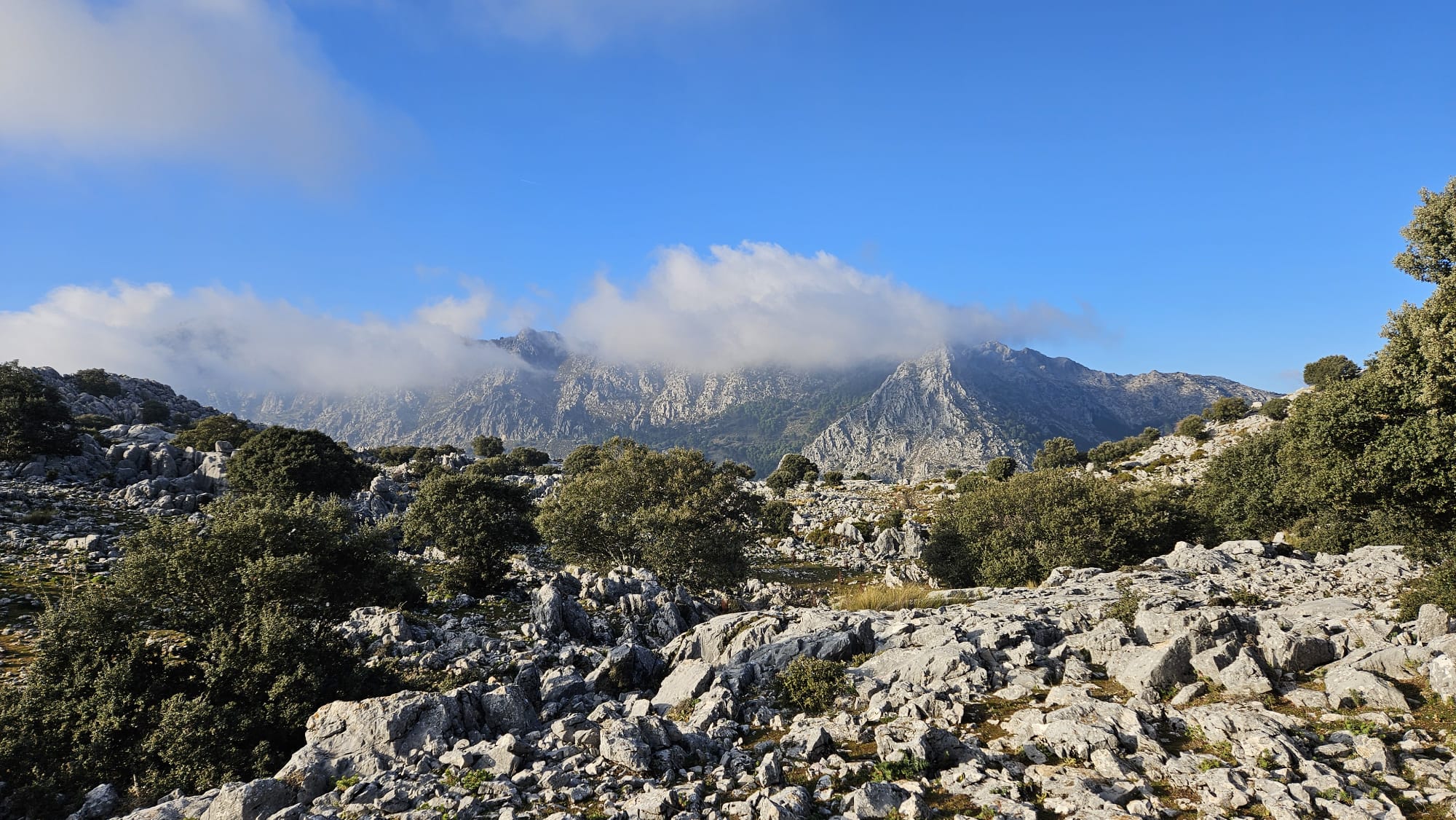 View of a hike from the natural park Alcornocales in Cadiz