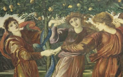 The 11th Labour: Hercules vs. The Garden of the Hesperides