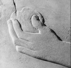 pomegranate, apple or orange