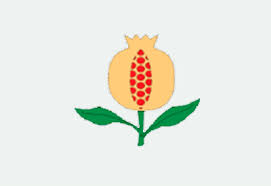 Pmegranate from Granada